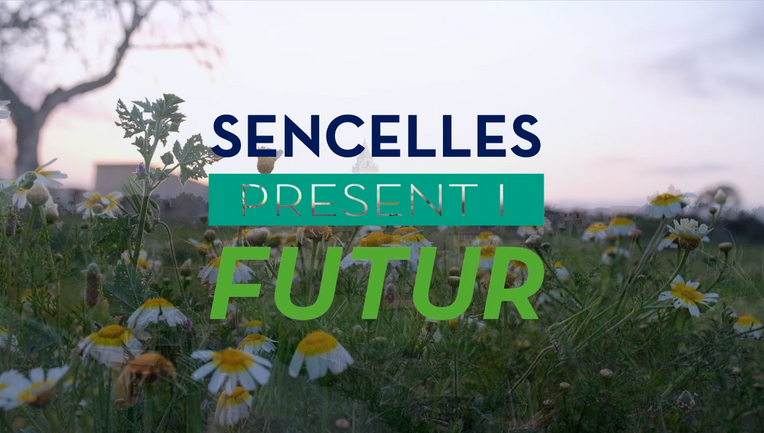 Sencelles Presente y Futuro. Etapa 2 ¿Qué Sencelles Queremos?