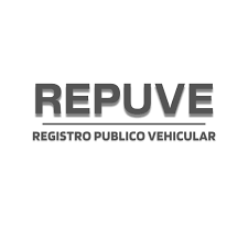 Avatar: repuveplacas