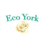 Avatar: Eco York
