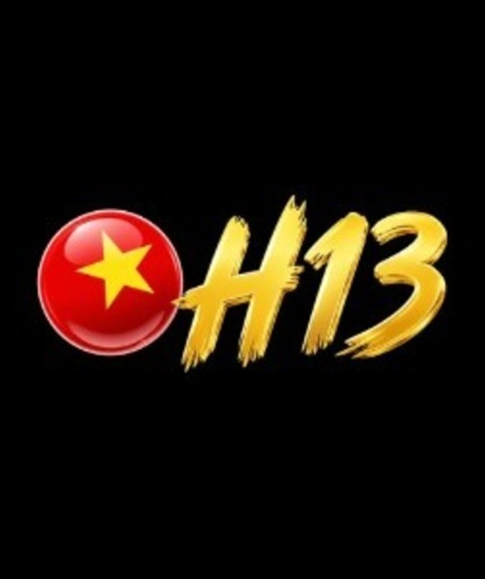 avatar h13 solutions