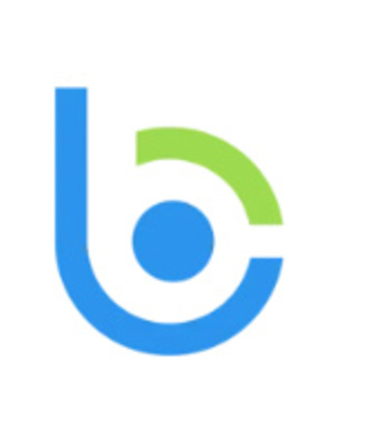 avatar Bloom Consulting Services