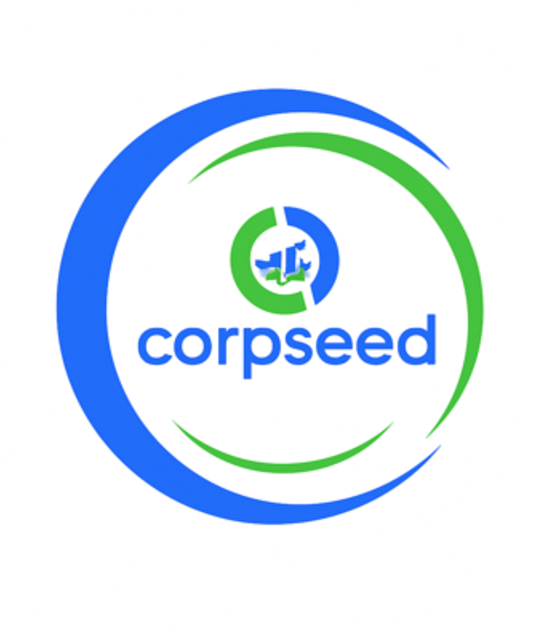 avatar Corpseed ites pvt ltd