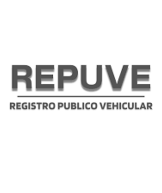 avatar repuveplacas