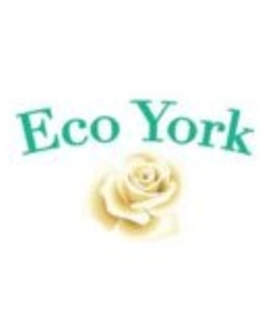 avatar Eco York