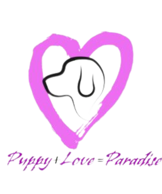 avatar Puppy Love Paradise