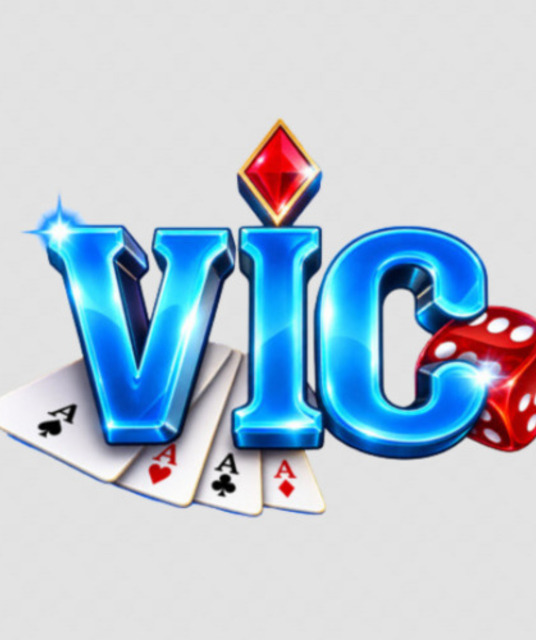 avatar VicClub Hu Net