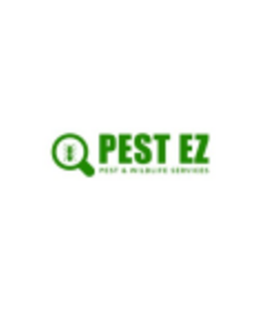 avatar Pest EZ Pest Control