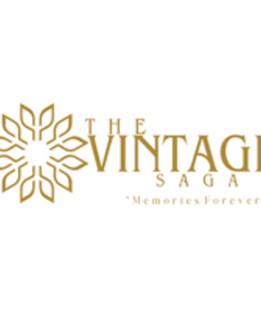 avatar The Vintage Saga