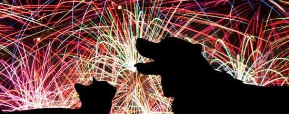 Focs artificials sense renou 