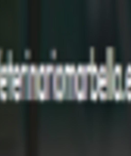 avatar hospitalveterinarioubicadoenMarbella